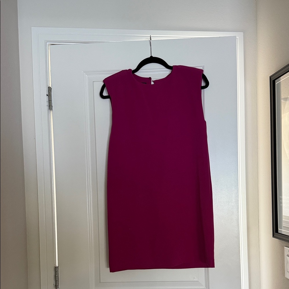 Zara Fuchsia Mini Dress
